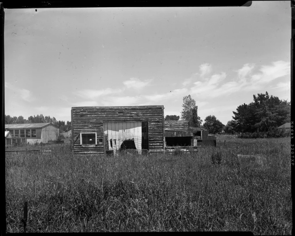 A large format black and white sheet film photograph of a short derelict house on a large empty plot of land. The grass is overgrown, reaching the windows and the front door is caved in.