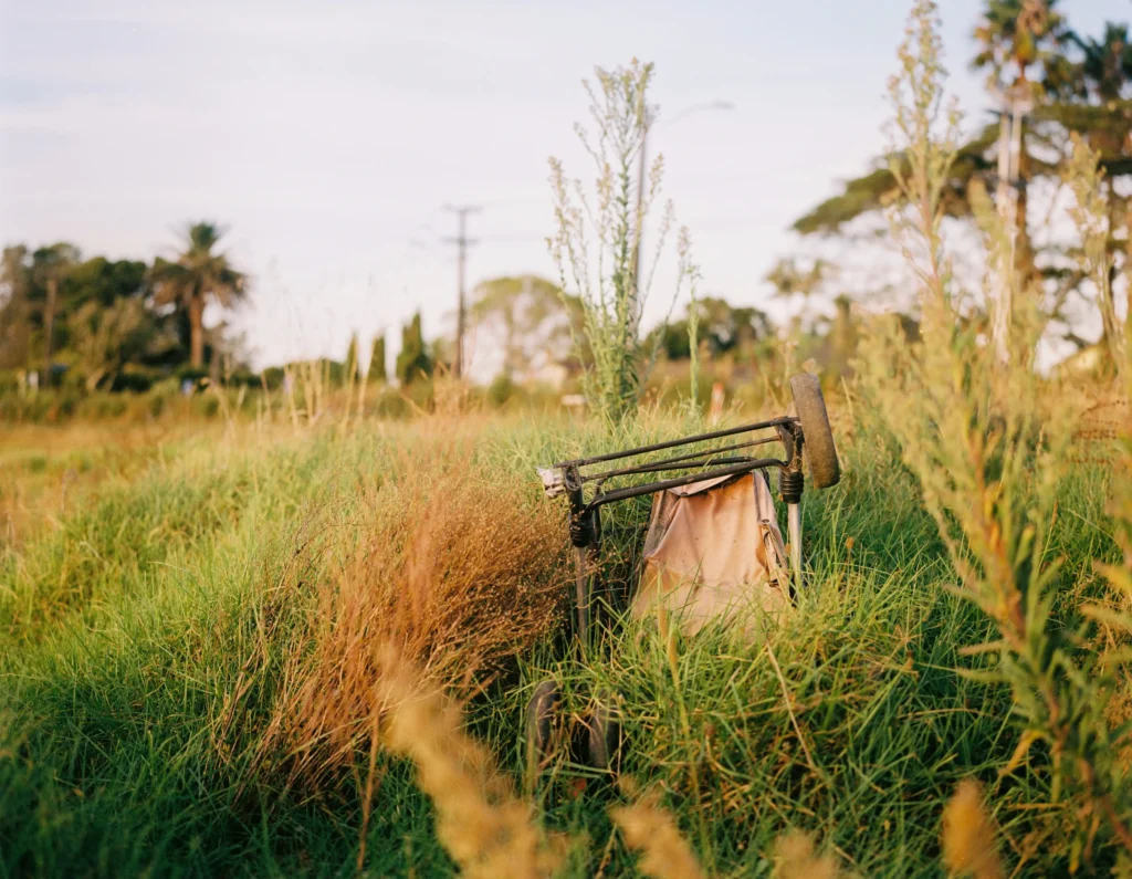 A rusting trolley lies upside down in a field of tall grass.